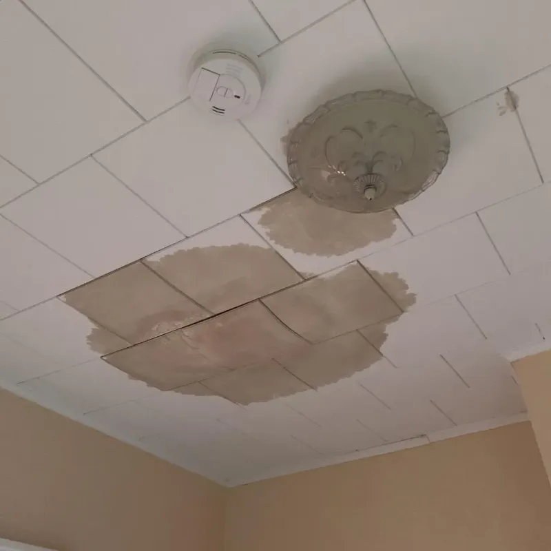 Ceiling Water Damage Repair in East Cleveland, OH