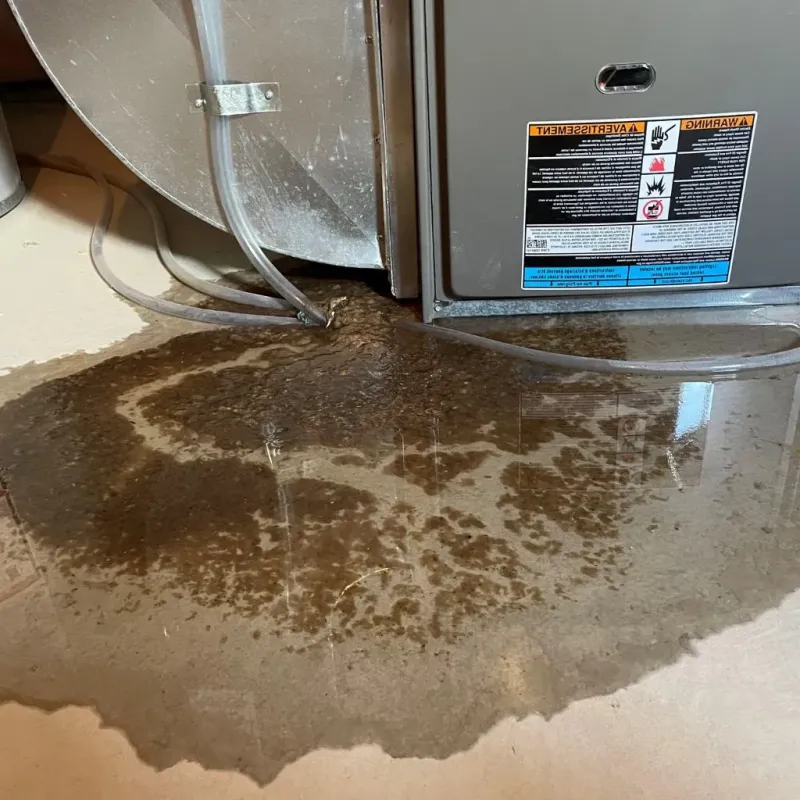 Pipe Burst and Leak Restoration in East Cleveland, OH