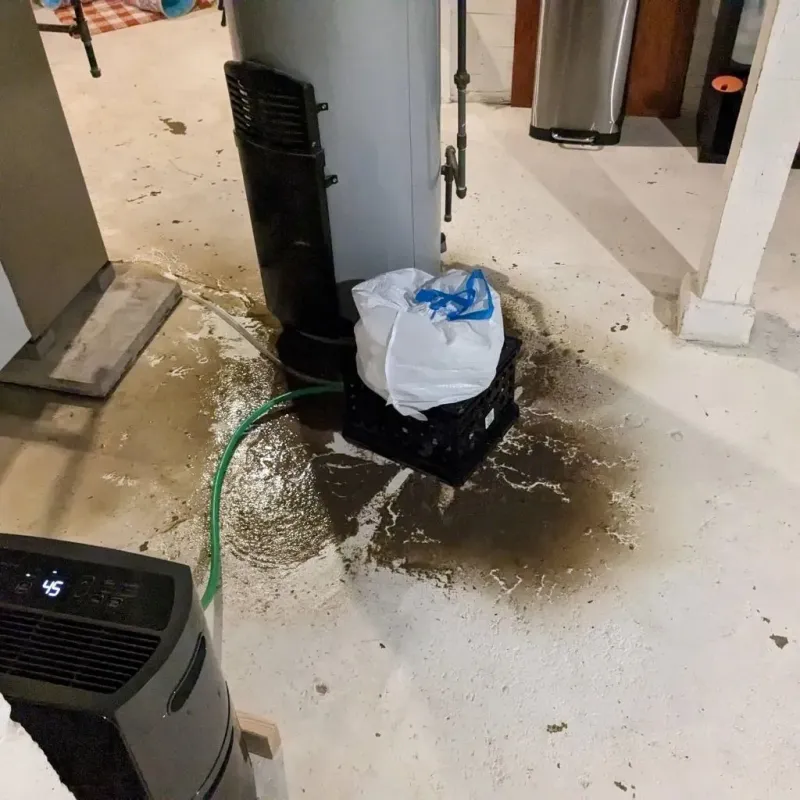 Sewage Backup Cleanup Service in East Cleveland, OH